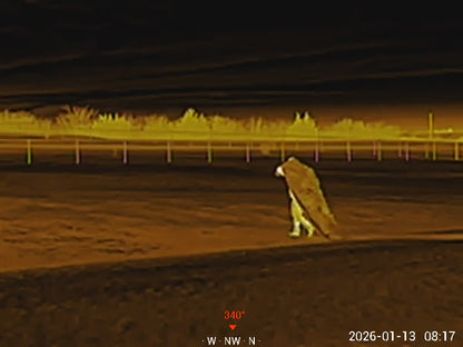 Anti-Thermal Blanket