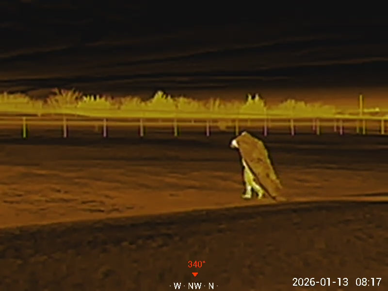 Load video: Anti-Thermal Blanket